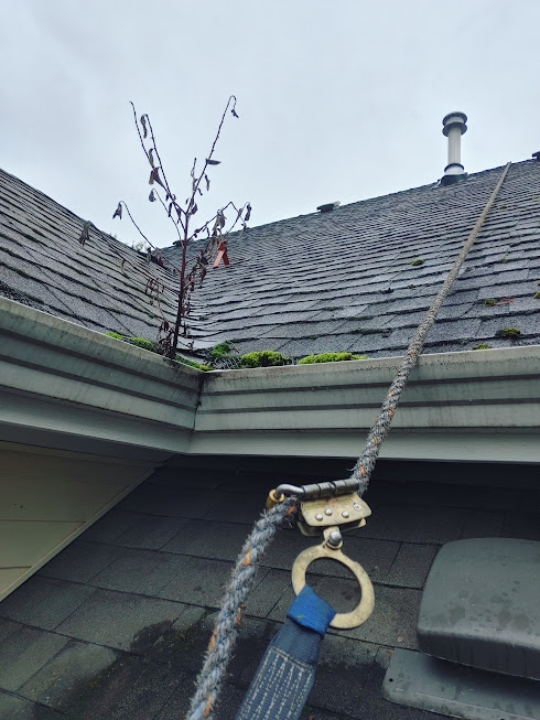 Stolo moon handyman | 5038 Riverside St, Abbotsford, BC V4X 1W9, Canada | Phone: (778) 400-7919