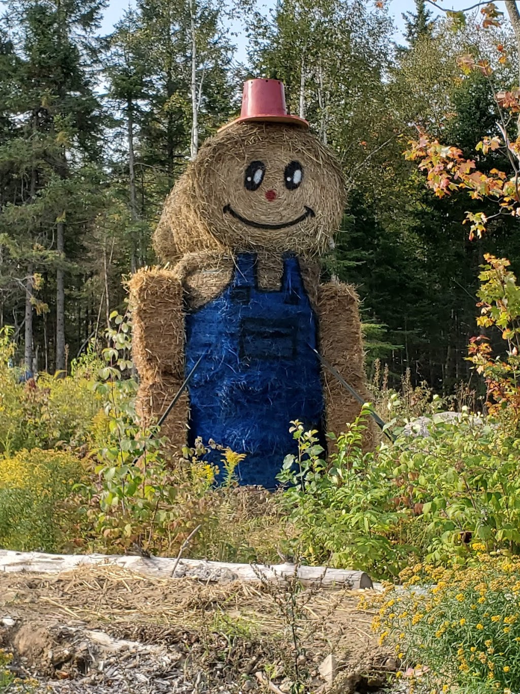 Bleuetiere-framboisiere Ste-Lucie | 520 Chemin des Hauteurs, Sainte-Lucie-des-Laurentides, QC J0T 2J0, Canada | Phone: (450) 228-4567
