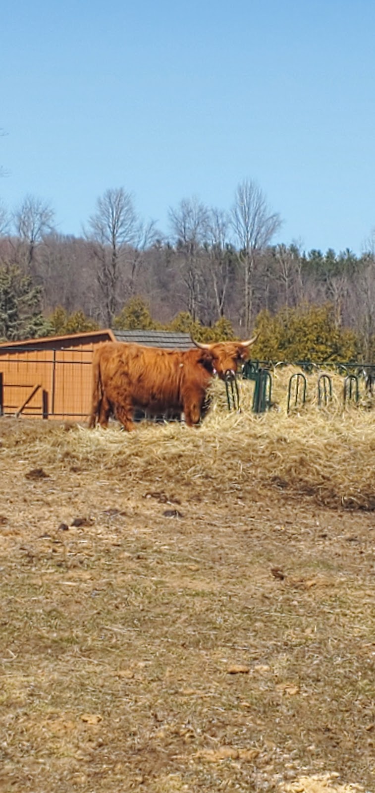 Breedon Highlands | 3662 Concession Road 3, Alliston, ON L9R 1V1, Canada | Phone: (705) 440-0910