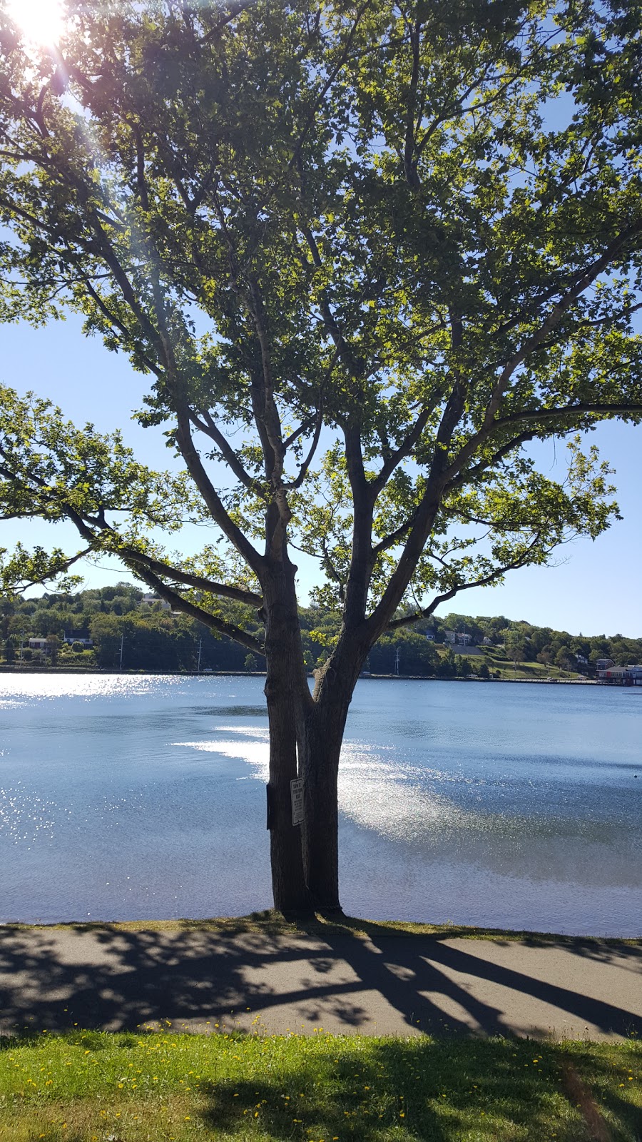 Birch Cove Park | 44 Oakdale Crescent, Dartmouth, NS B3A, Canada