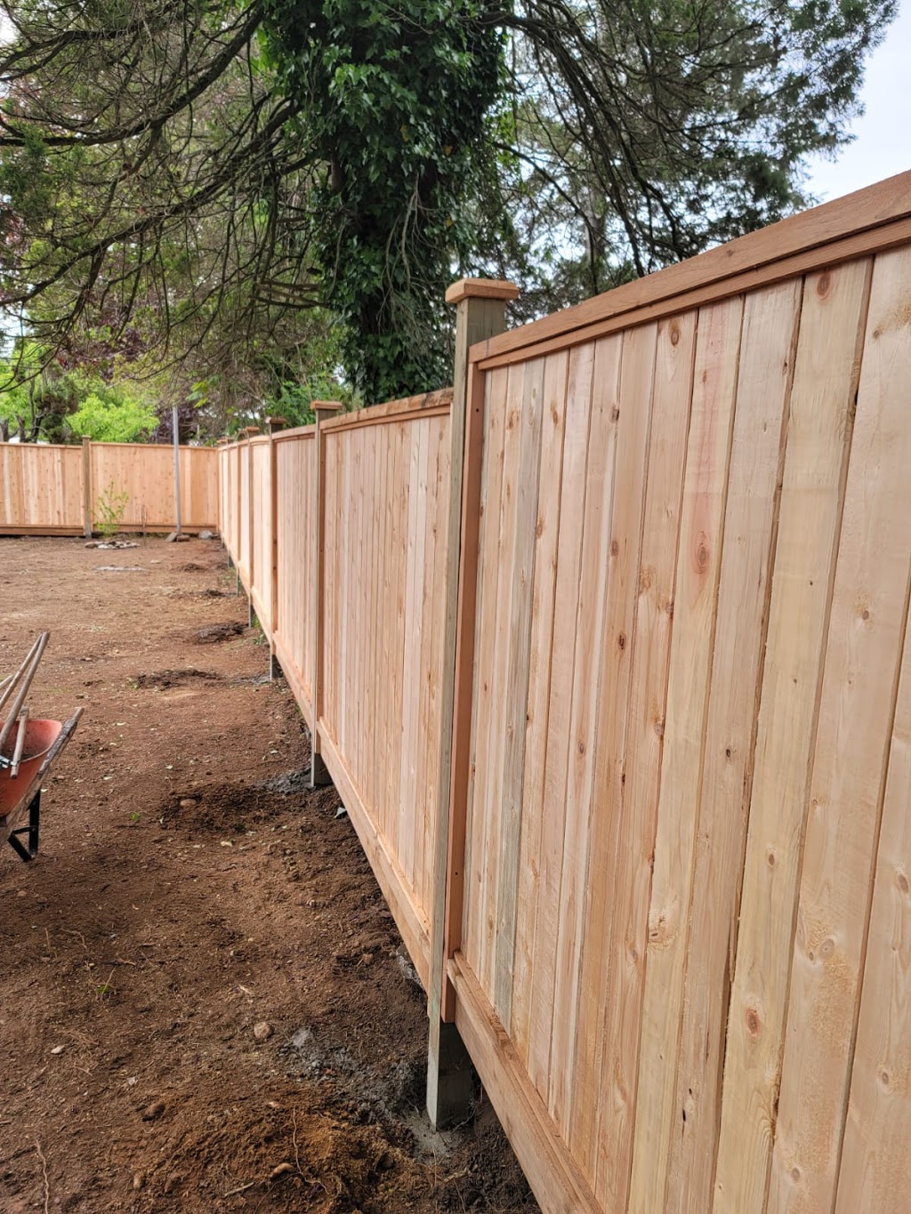 Bagha cedar & chain link fencing | 32625 Marshall Rd, Abbotsford, BC V2T 1A8, Canada | Phone: (778) 551-3628
