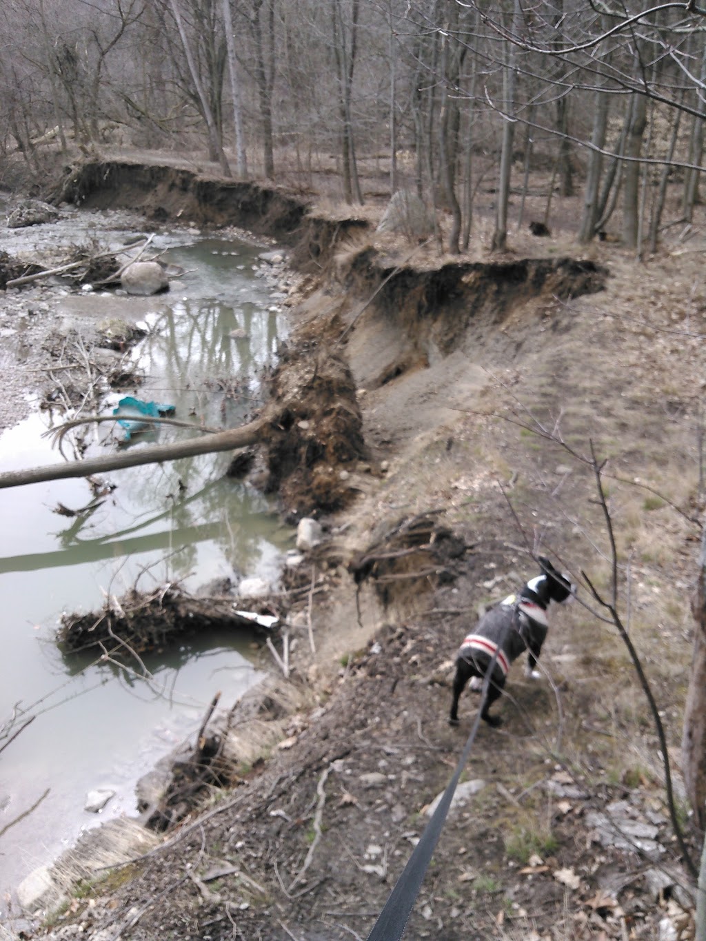 Gus Harris Trail | Gus Harris Trail, Scarborough, ON M1L 3E7, Canada