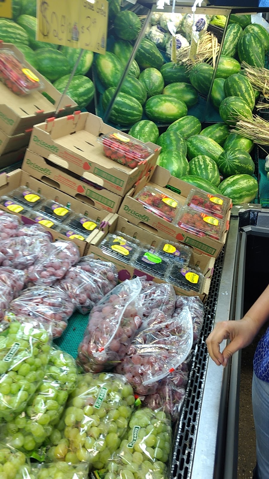 H&W Produce | 9261 34 Ave NW #31, Edmonton, AB T6E 5T5, Canada | Phone: (780) 436-7970