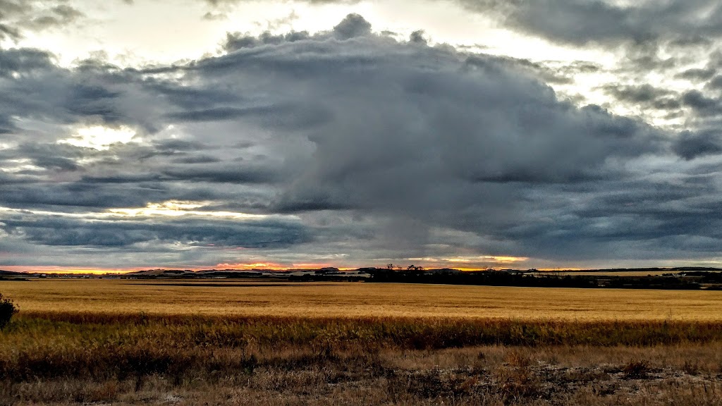 Long Lake Insurance | 2 St S Hwy 2, Wakaw, SK S0K 4P0, Canada | Phone: (306) 233-5330