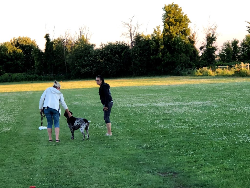K9 Pest Management Group Inc. | 6311 12th Line, Alliston, ON L9R 1V4, Canada | Phone: (905) 729-4554