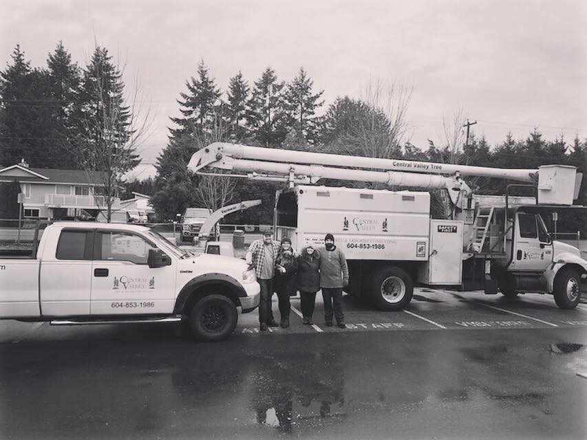 Central Valley Tree & Arborist Services LTD. | 933 Coutts Way, Abbotsford, BC V2S 7M2, Canada | Phone: (604) 853-1986