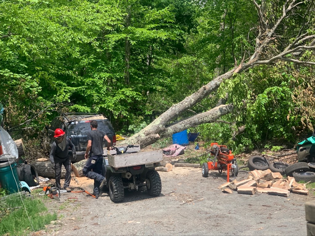 Émondage Red Ladder Tree Services Inc. | 2525 Pl. du Louvet, Saint-Lazare, QC J7T 3L7, Canada | Phone: (514) 696-5205