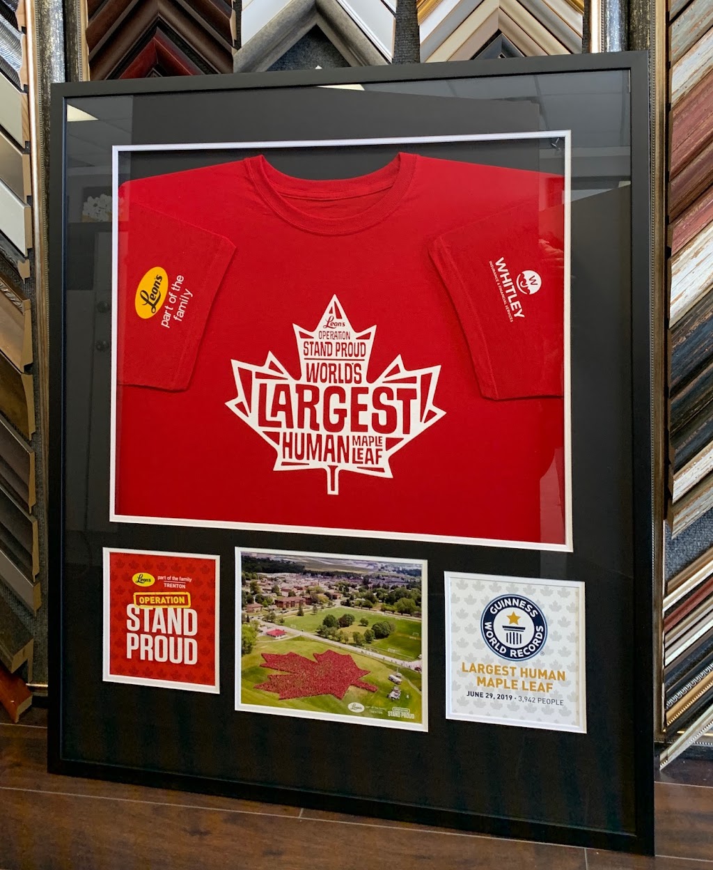 Quinte Art & Custom Frame | 255 Glen Miller Rd #10, Trenton, ON K8V 5P8, Canada | Phone: (613) 243-8497