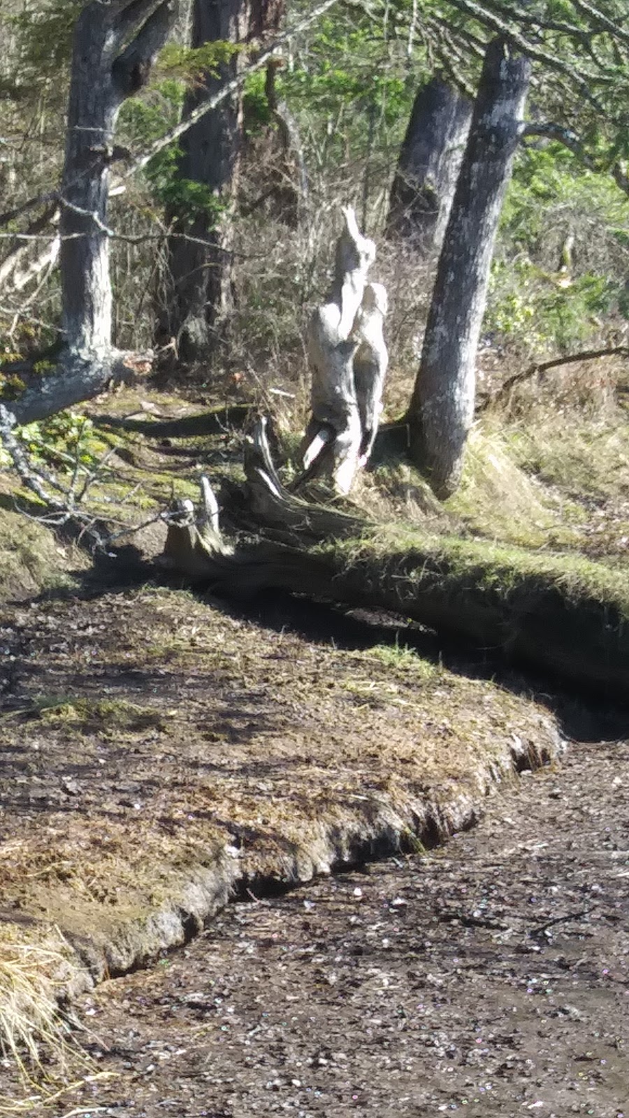 Cuthbert Holmes Park | Trans-Canada Hwy, Victoria, BC V8Z 1L5, Canada | Phone: (250) 475-5522