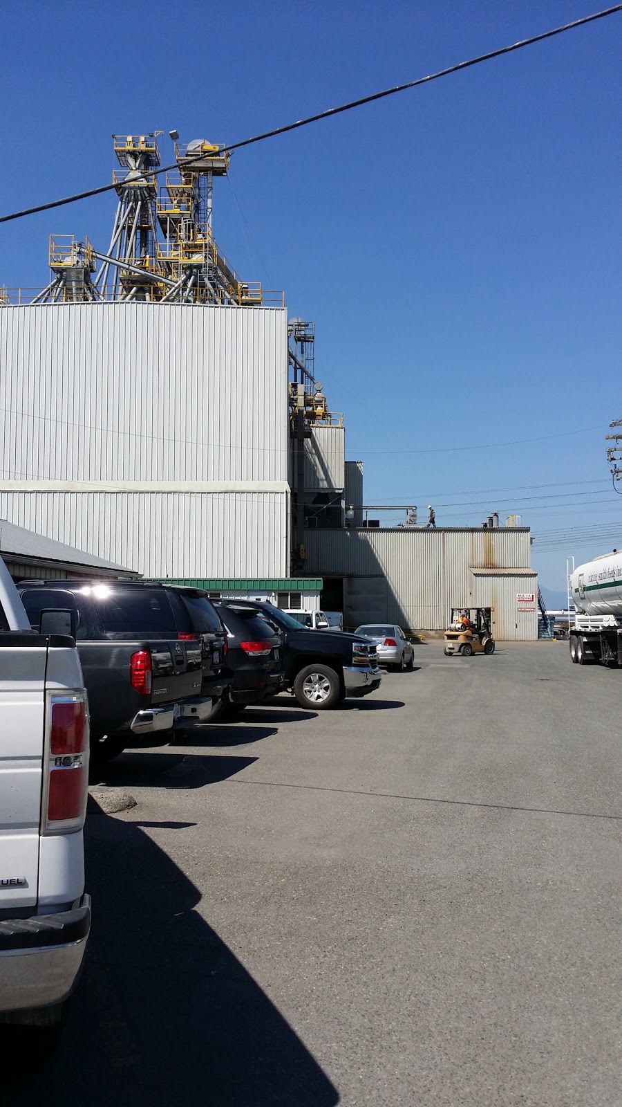 Ritchie-Smith Feeds Inc | 33777 Enterprise Ave, Abbotsford, BC V2S 7T9, Canada | Phone: (604) 859-7128