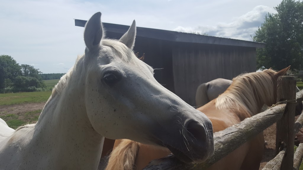Burnbrae Farms Ltd | 3356 27, Lyn, ON K0E 1M0, Canada | Phone: (613) 345-5651