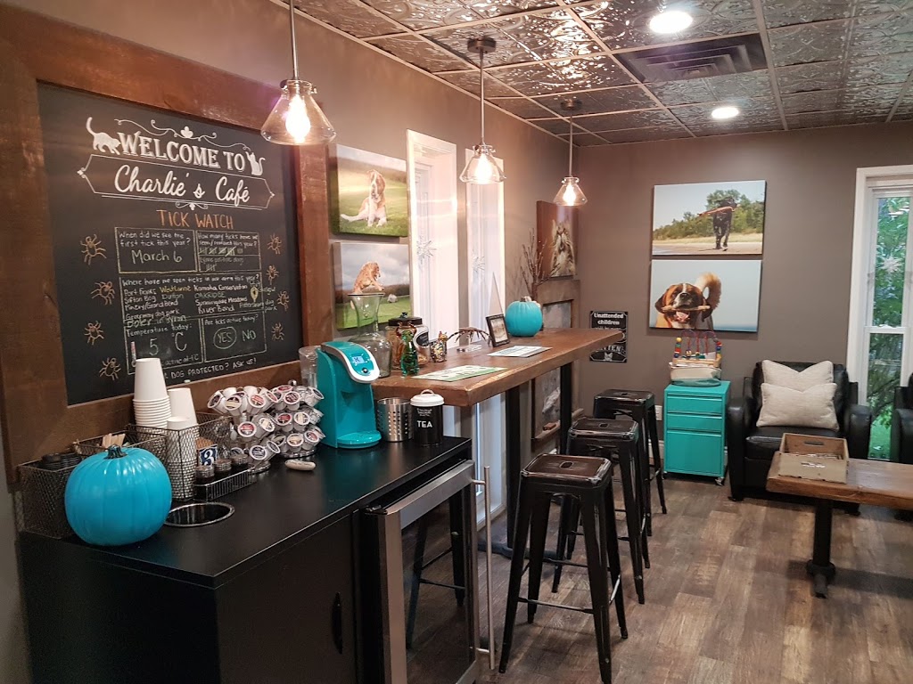 Oakridge Animal Clinic | 1109 Sarnia Rd, London, ON N6H 5J9, Canada | Phone: (519) 471-1560
