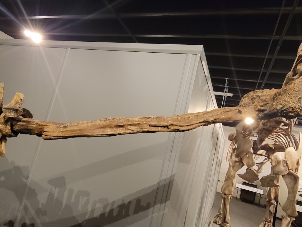 Quinte Museum of Natural History | Old Morton-Parker Building, 99 Dufferin Ave, Trenton, ON K8V 5E2, Canada | Phone: (613) 955-1802