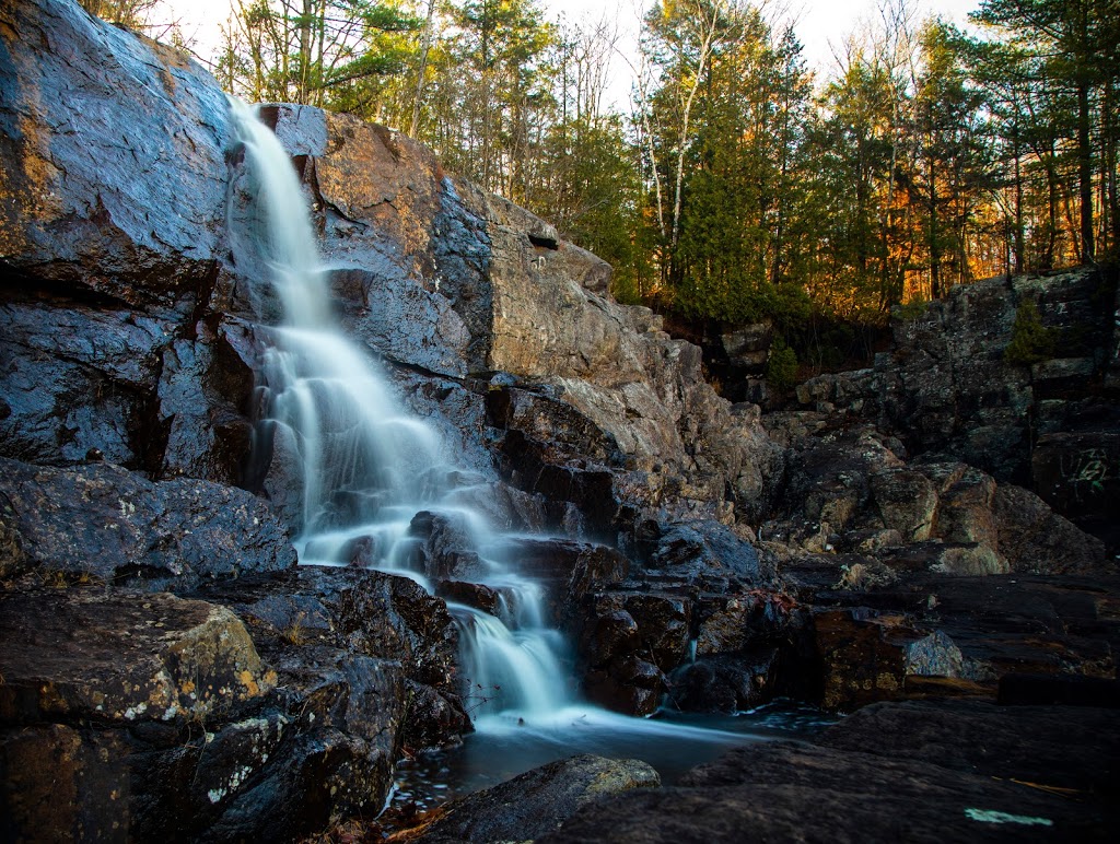 Parc de lÎle Melville, secteur sud | Shawinigan, QC G9P, Canada | Phone: (819) 536-0222