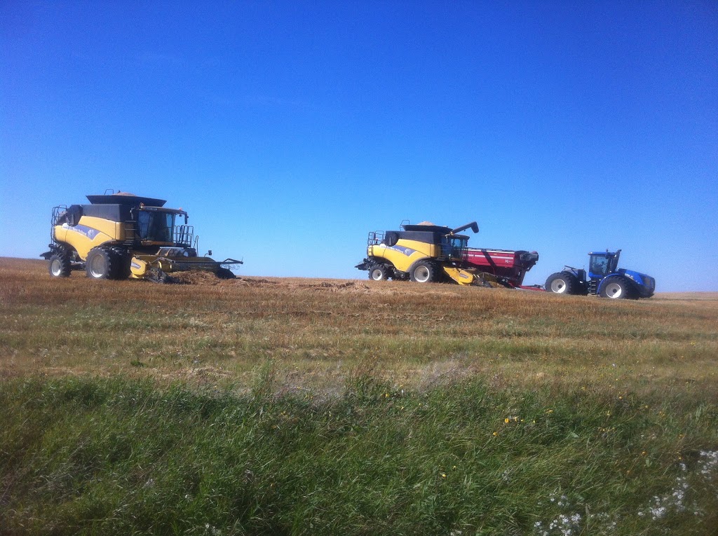 Mazergroup | SK-6, Raymore, SK S0A 3J0, Canada | Phone: (306) 746-2911