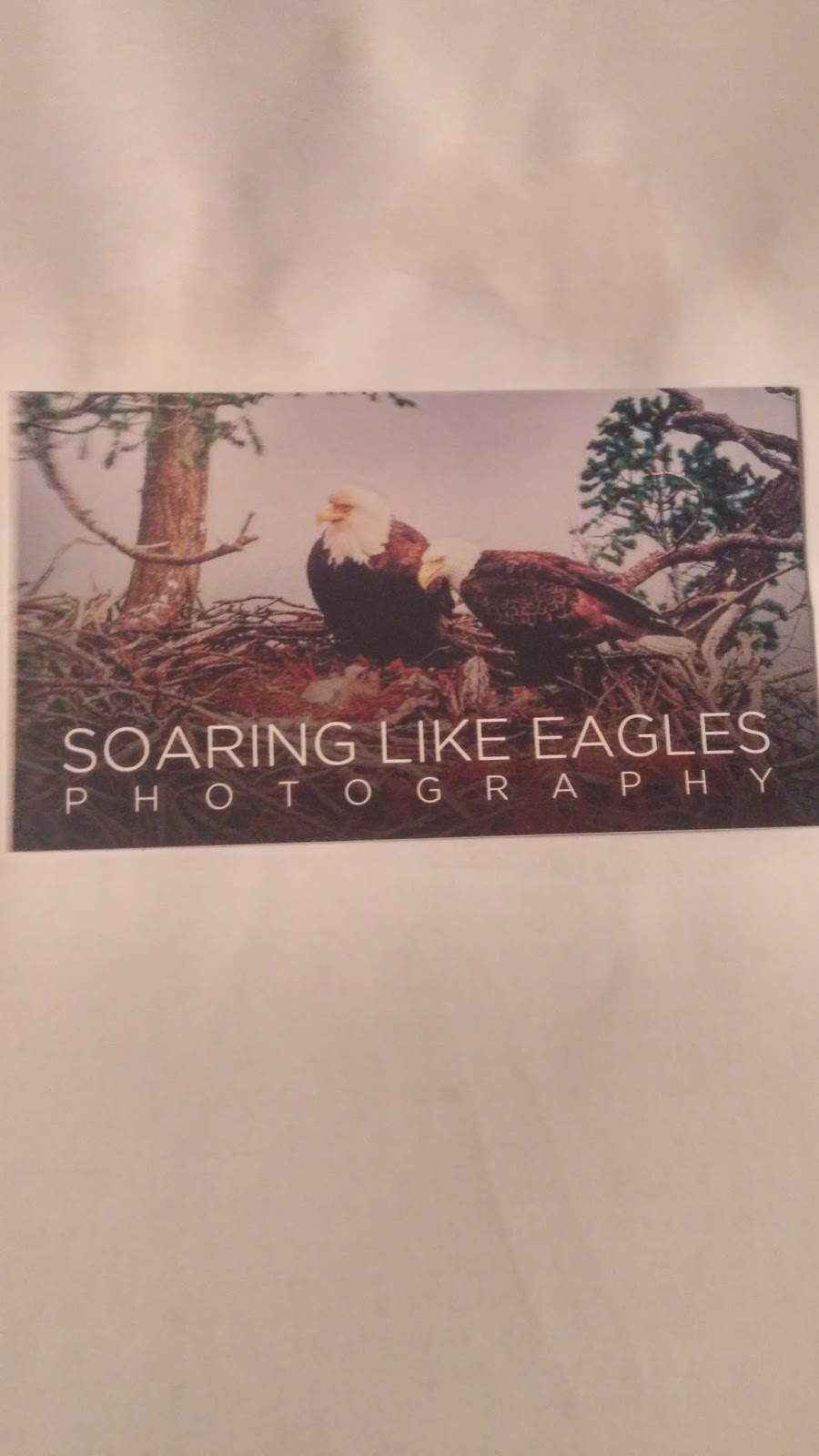 Soaring Like Eagles Photography | 14 Orwell Close, Red Deer, AB T4N 5J2, Canada | Phone: (403) 396-7882
