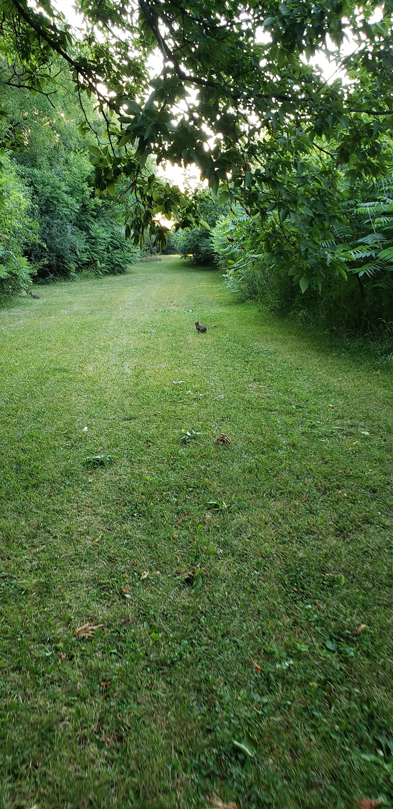 Derry Greenway Park | 7044 Goreway Dr, Mississauga, ON L4T 1M3, Canada | Phone: (905) 615-4311