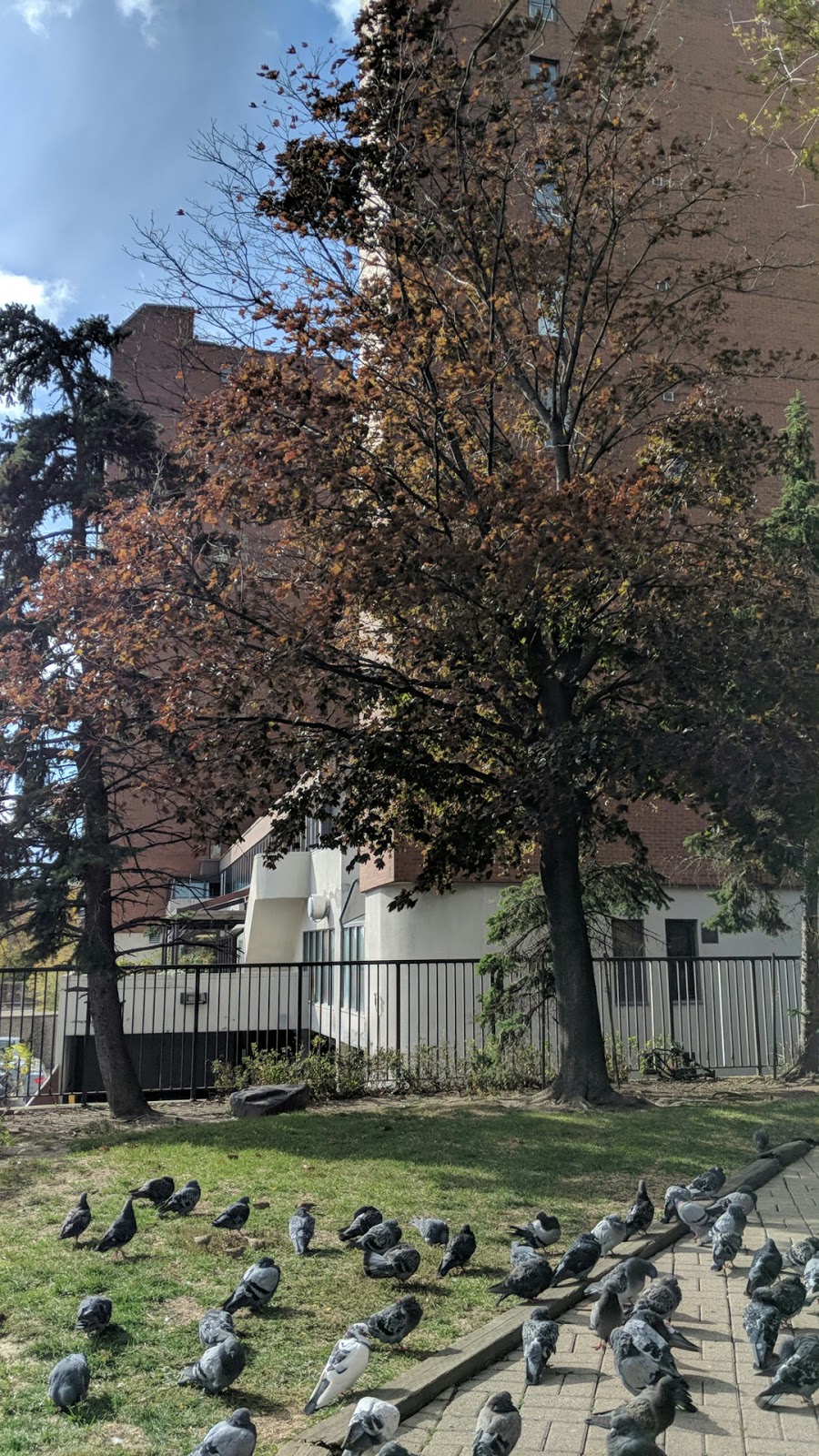 St. Hildas Senior Care Community | 2339 Dufferin St, York, ON M6E 4Z5, Canada | Phone: (416) 781-6621