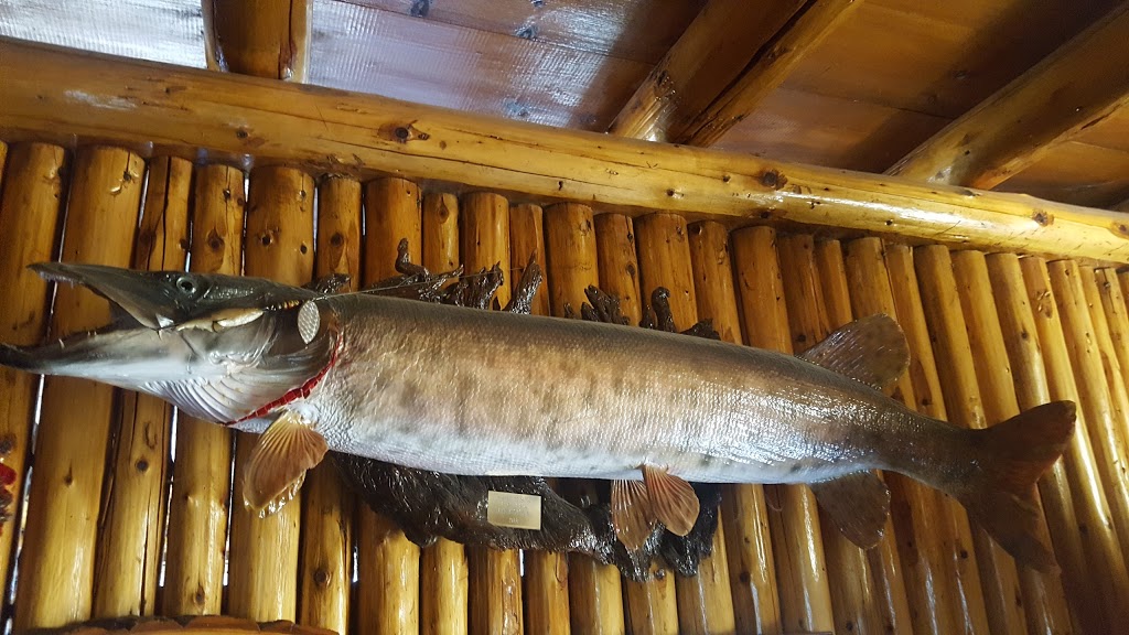 Camp Horizon | 252 Muskosung Lake Rd, Field, ON P0H 1M0, Canada | Phone: (705) 758-6741