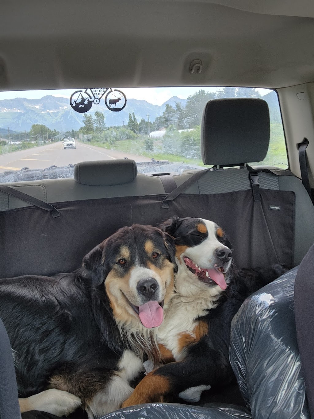 Picture Valley Dog Boarding | 4300 Fenwick Rd, Fort Steele, BC V0B 1N0, Canada | Phone: (250) 908-1962