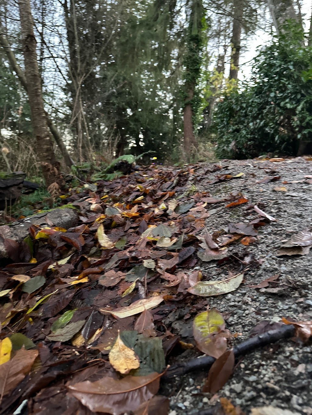 Cedar Hills Park | Surrey, BC V3V 6B1, Canada | Phone: (604) 501-5050