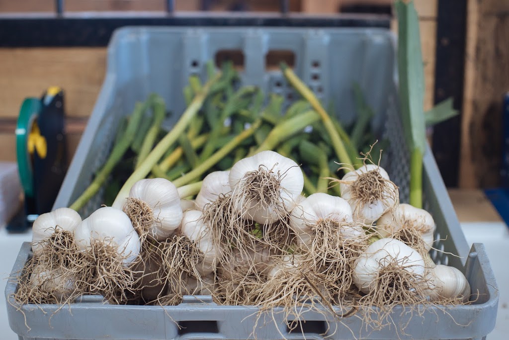 Les Jardins DiversiBio | 135 Chemin du Golf, Farnham, QC J2N 2P9, Canada | Phone: (514) 863-9499