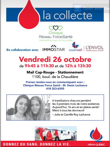 Centre de Massothérapie Réseau Force-Santé | Mail Cap-Rouge, 1100 Boulevard de la Chaudière local 124, Québec, QC G1Y 0A1, Canada | Phone: (418) 353-6590