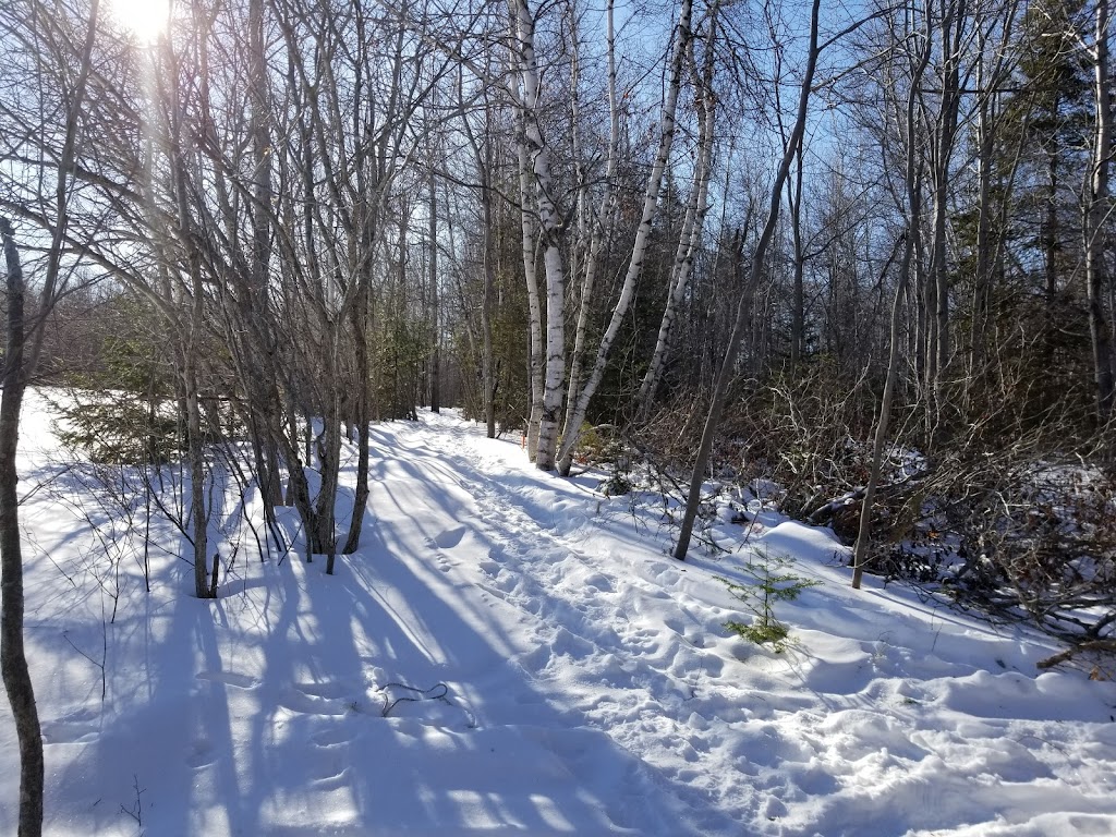 Sentier de lécole entrée sud | Route 530, Grande-Digue, NB E4R 5E1, Canada | Phone: (506) 345-1493
