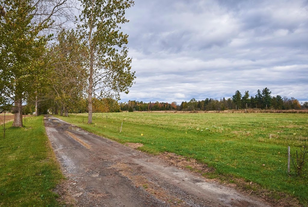 Blair Brockley | 201-1500 Bank St, Ottawa, ON K1H 7Z2, Canada | Phone: (613) 733-9100