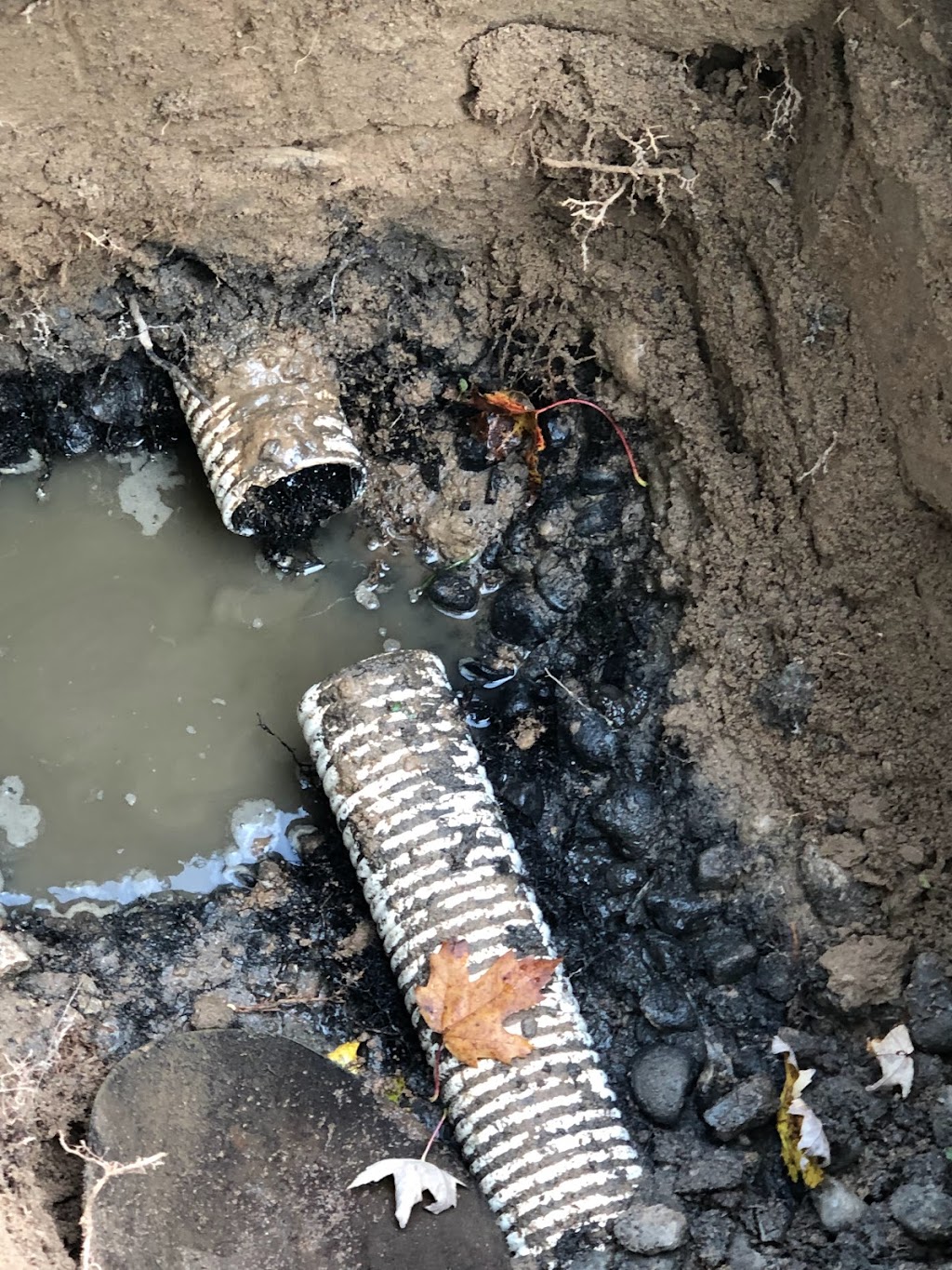 Septic Solutions | 4 Highland Dr, Flesherton, ON N0C 1E0, Canada | Phone: (519) 288-0975