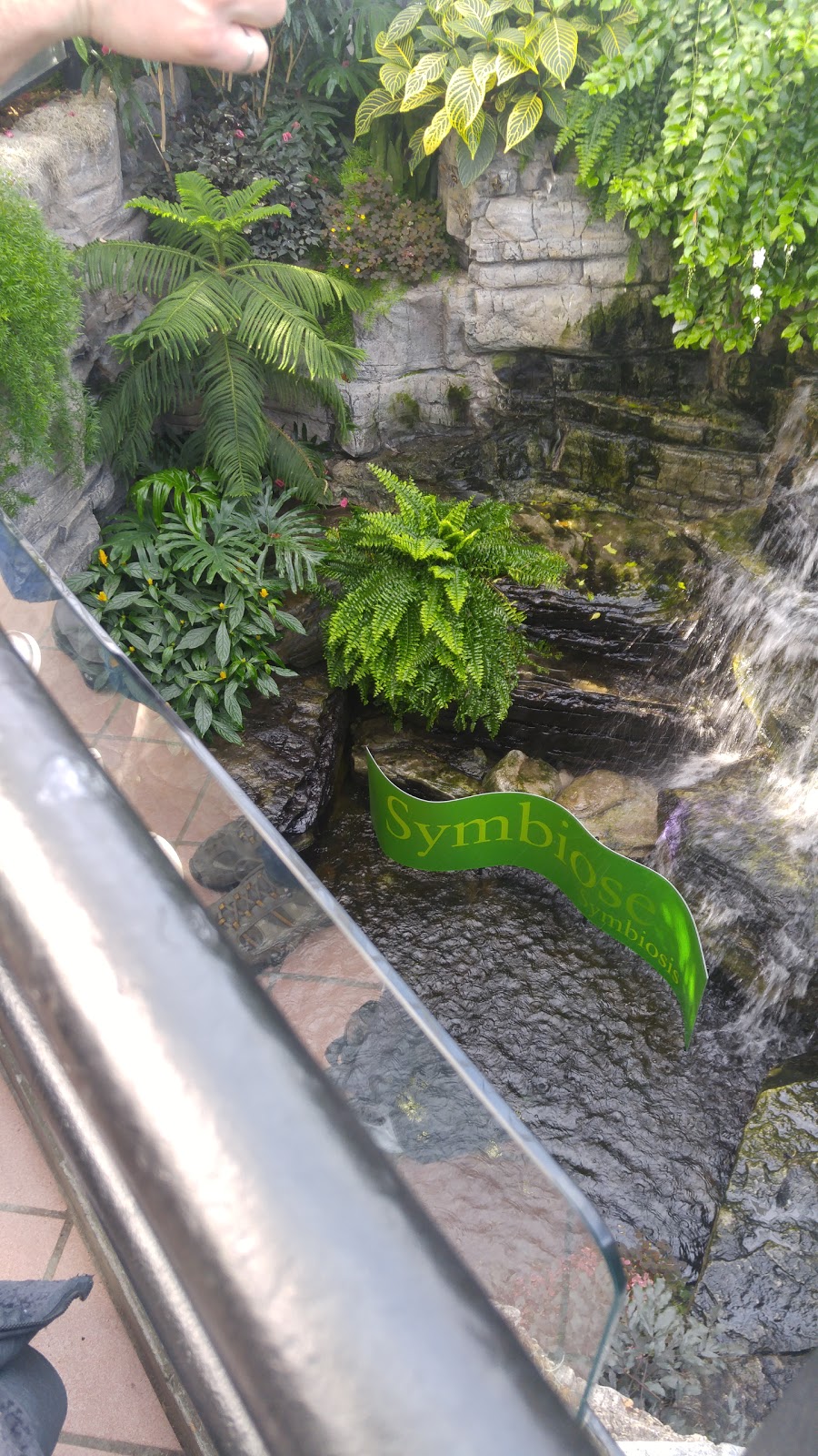 Montreal Insectarium | 4581 Sherbrooke St E, Montreal, Quebec H1X 2B2, Canada | Phone: (514) 872-8753