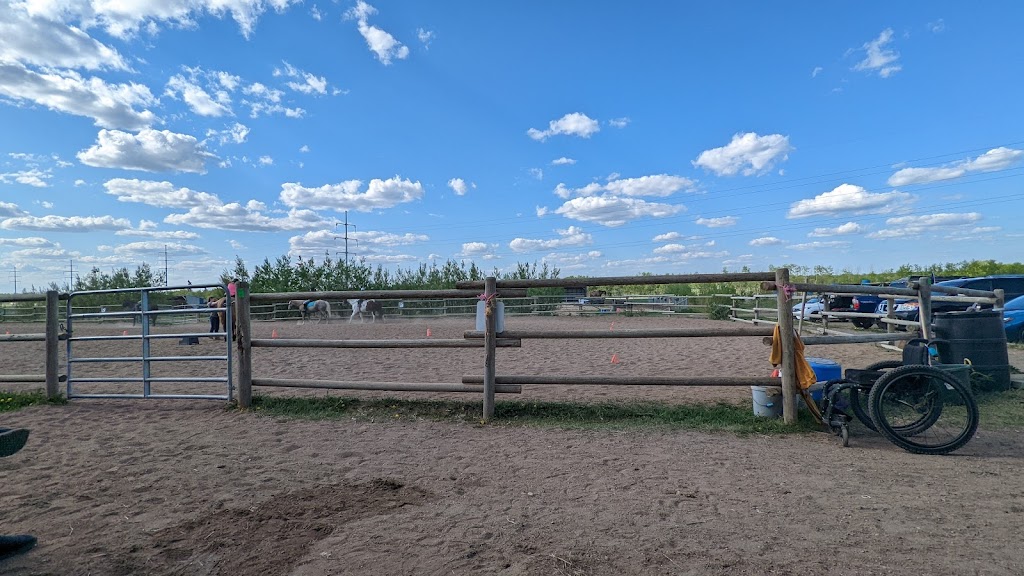 Paints-Plus Equine Center | 22441 AB-14, Sherwood Park, AB T8C 1H5, Canada | Phone: (780) 237-7587
