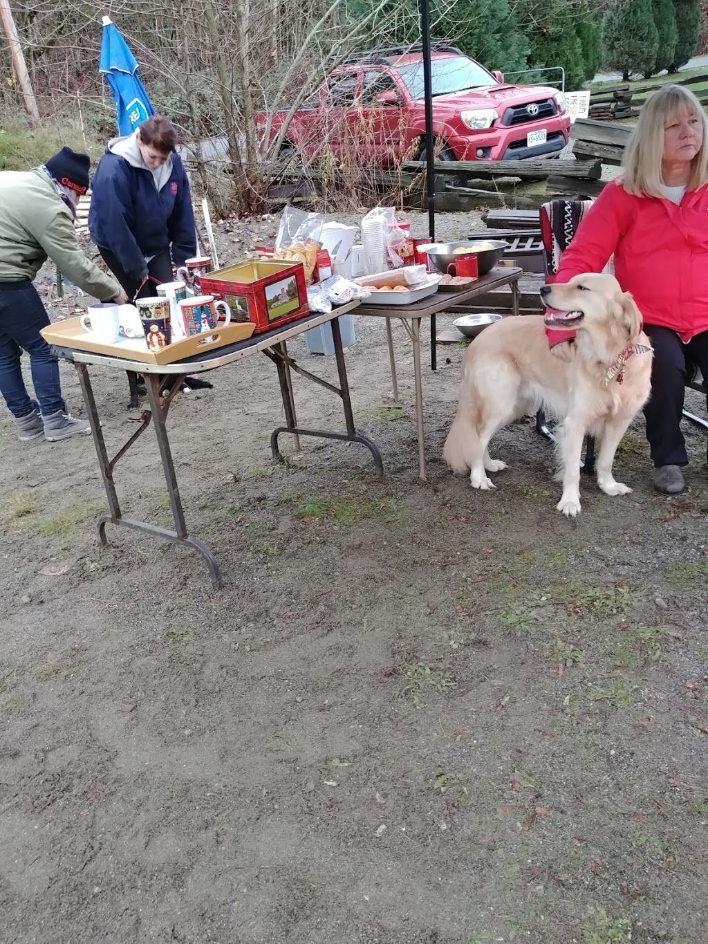 Happy Heeling Dog Daycare and Training | 1208 Bradner Rd, Abbotsford, BC V4X 1H8, Canada | Phone: (778) 779-1137