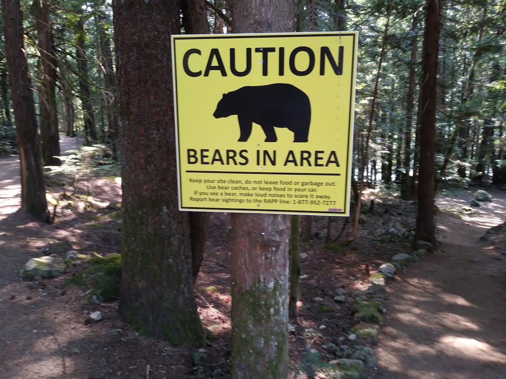 Cat Lake Recreation Site | Cheekye Forest Service Rd, Squamish, BC V8B 0P6, Canada