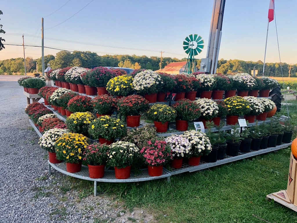 Georgian Bay Country Market | 267 Hwy 6, Wiarton, ON N0H 2T0, Canada | Phone: (226) 974-6797