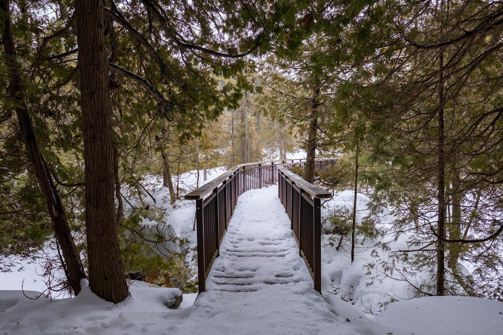Harris Woollen Mill Ruins | 161 Fall St S, Guelph/Eramosa, ON N0B 2K0, Canada | Phone: (519) 856-9543