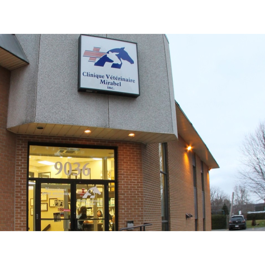Clinique Vétérinaire Mirabel inc. | Mirabel, QC J7N 2P6, Canada | Phone: (450) 258-3202