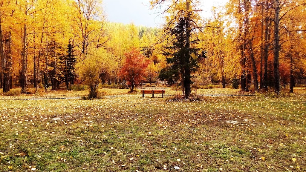 Railyard Dog Park | 95 Ridgemont Ave, Fernie, BC V0B 1M0, Canada | Phone: (778) 509-0701