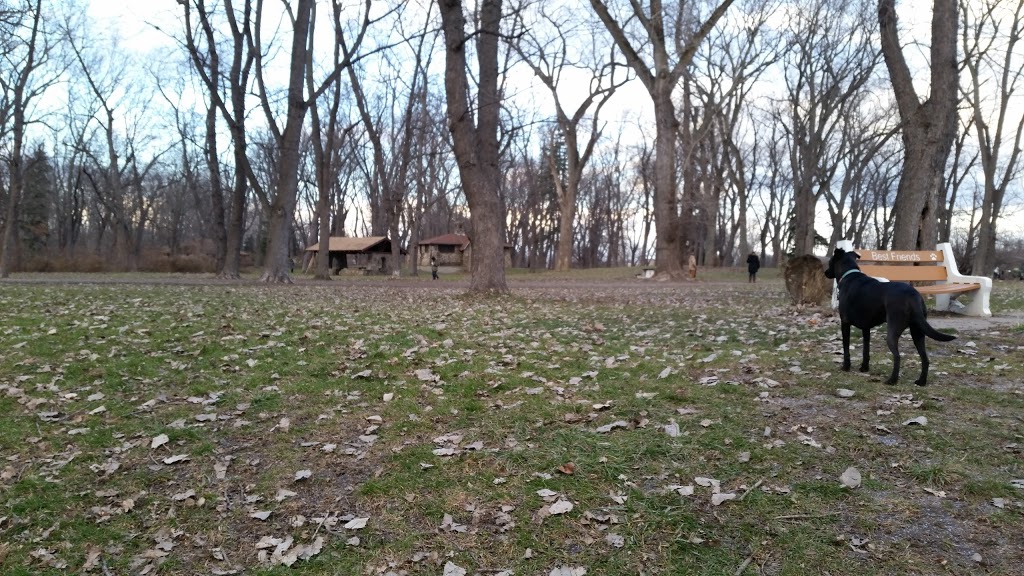 Bark Park | 10 Creekside Dr, Buffalo, NY 14228, USA | Phone: (716) 693-2971