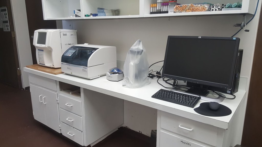 Maillardville Animal Hospital | 1119C Austin Ave, Coquitlam, BC V3K 3P4, Canada | Phone: (604) 939-0800