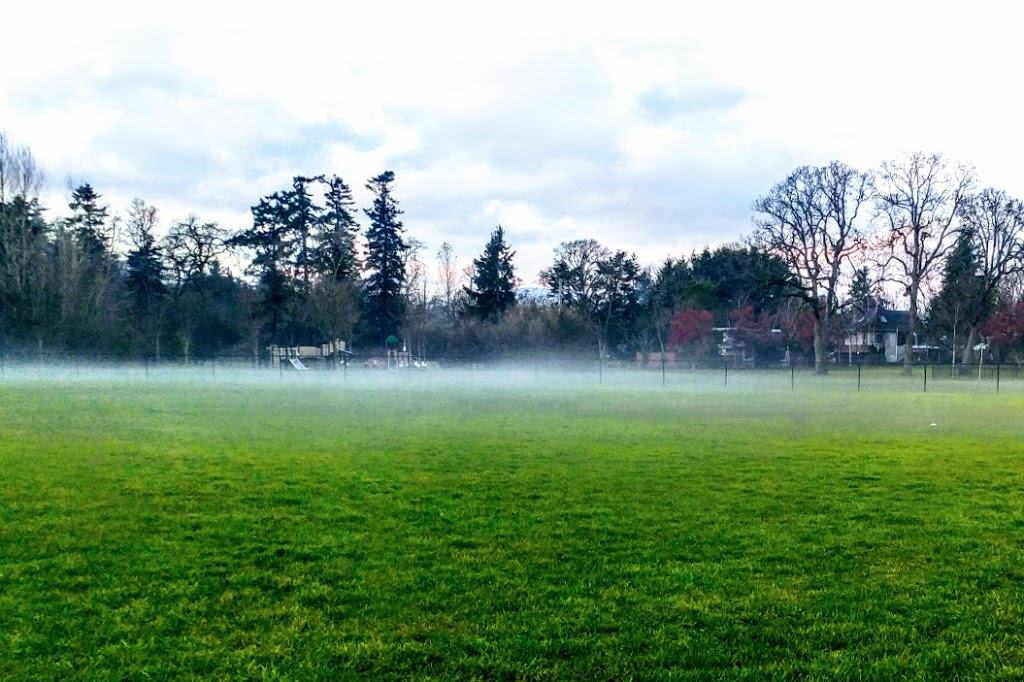 Hyacinth Park | Saanich, BC V8Z, Canada