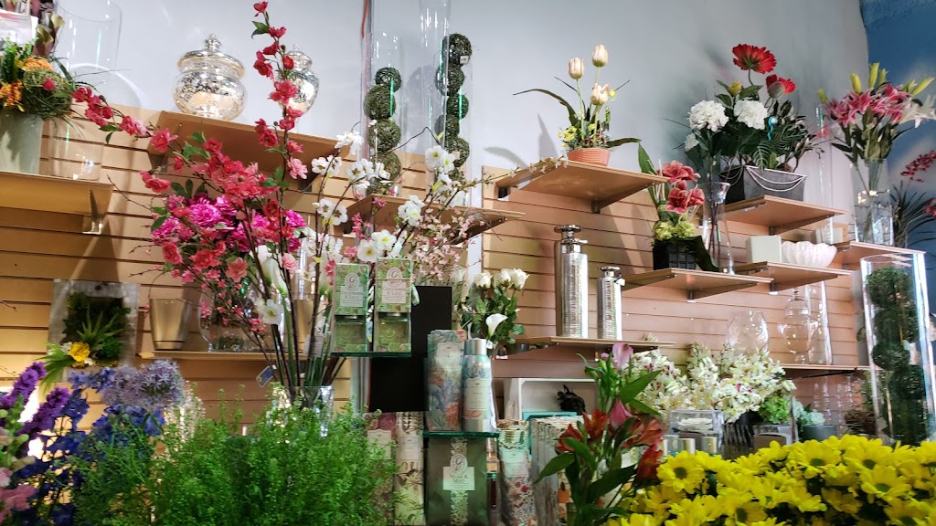 Fleuriste Montmorency Inc | 2400 Bd Louis-XIV, Québec, QC G1C 5Y8, Canada | Phone: (418) 661-3328