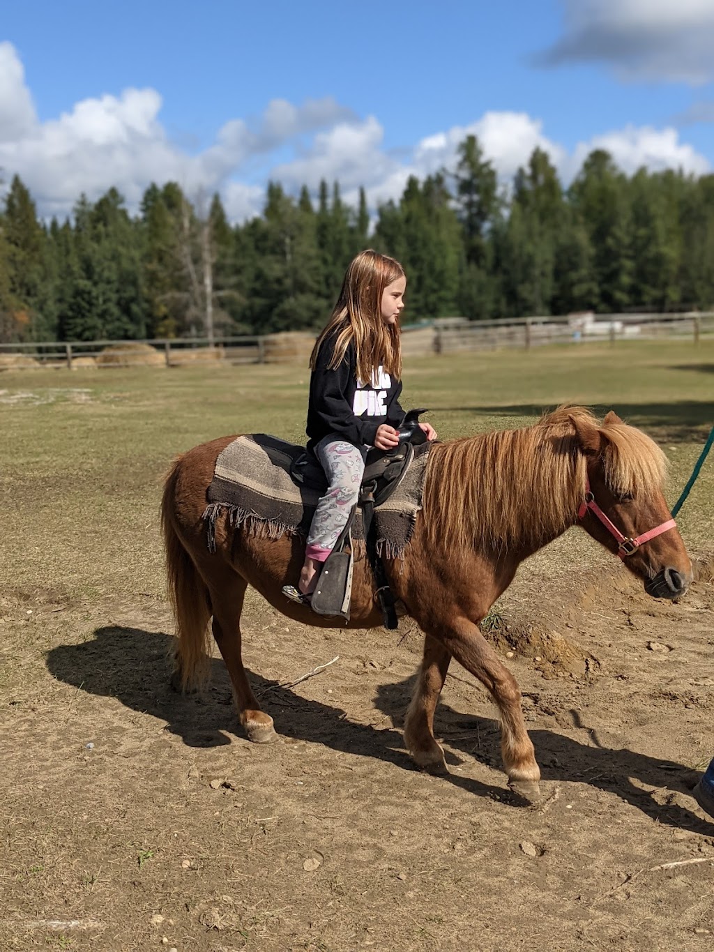 Wilderness Village Campground Resort | Rocky Mountain House, AB T4T 1A9, Canada | Phone: (403) 845-2145