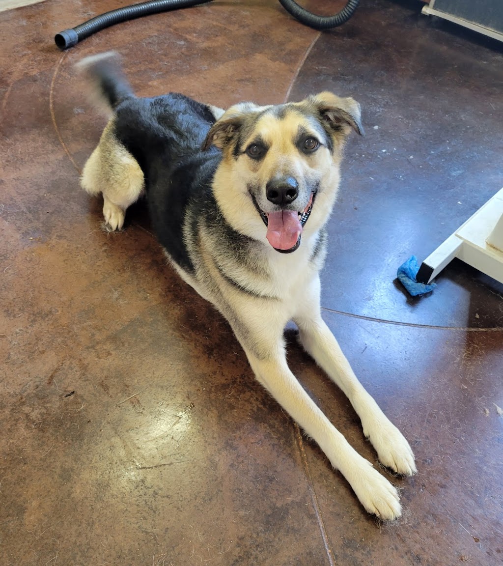 Happy Paws Grooming Shop | 12075 NS-224, Middle Musquodoboit, NS B0N 1X0, Canada | Phone: (902) 957-2418