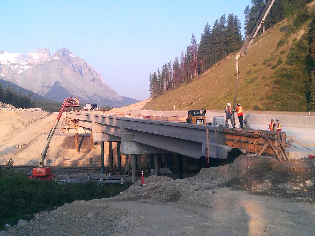 Corvidae Environmental Consulting | 6526 Water St, Sooke, BC V9Z 0X1, Canada | Phone: (250) 642-0078