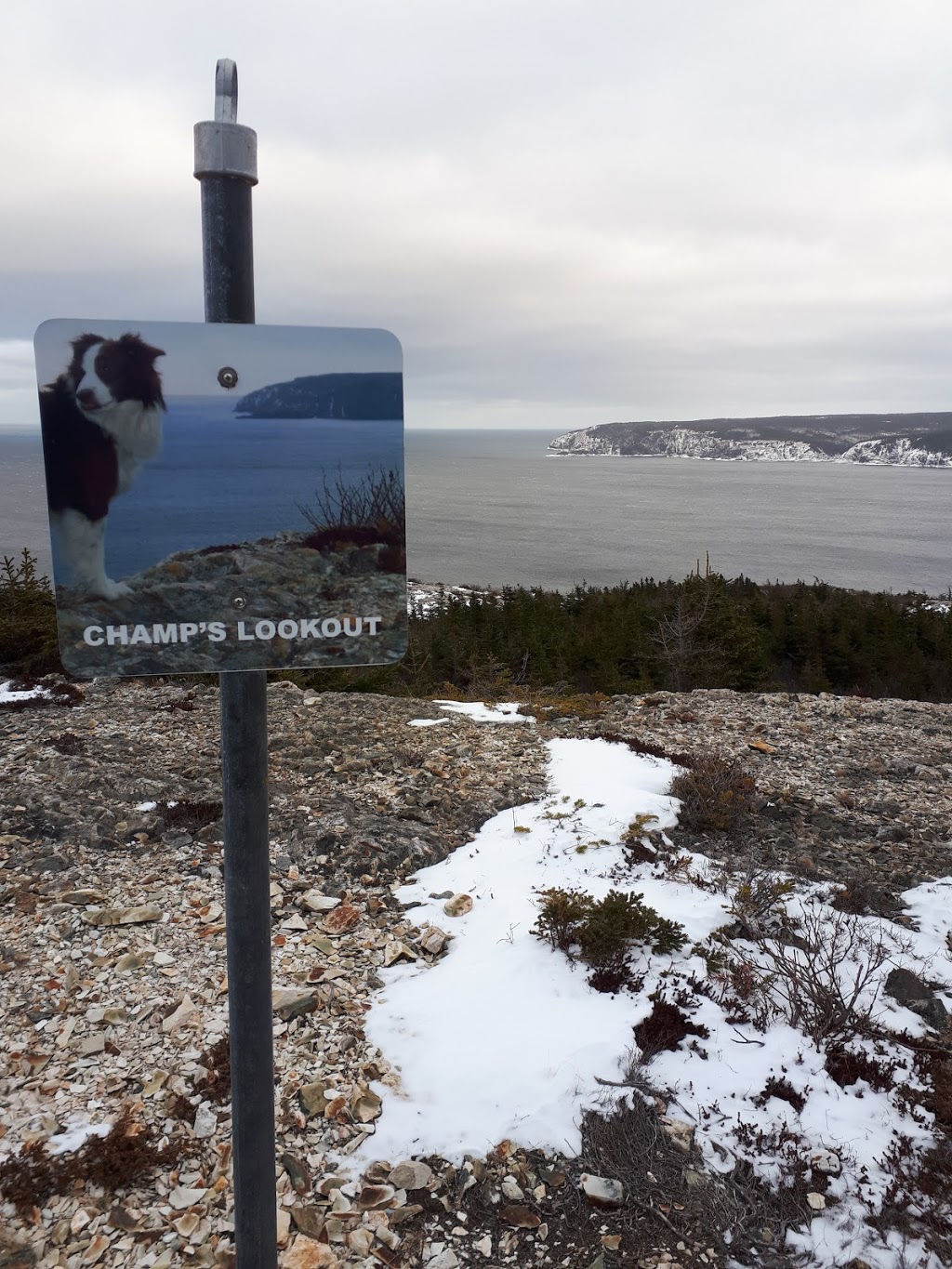 Champs Lookout | Pouch Cove, NL A0A 3L0, Canada
