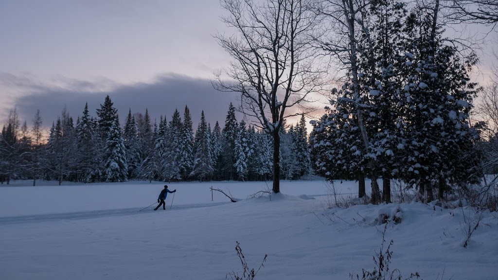 Club De Ski De Fond De Thetford | P. 761, 1 Rue du Golf C, Thetford Mines, QC G6G 5V1, Canada | Phone: (418) 335-2931 ext. 2