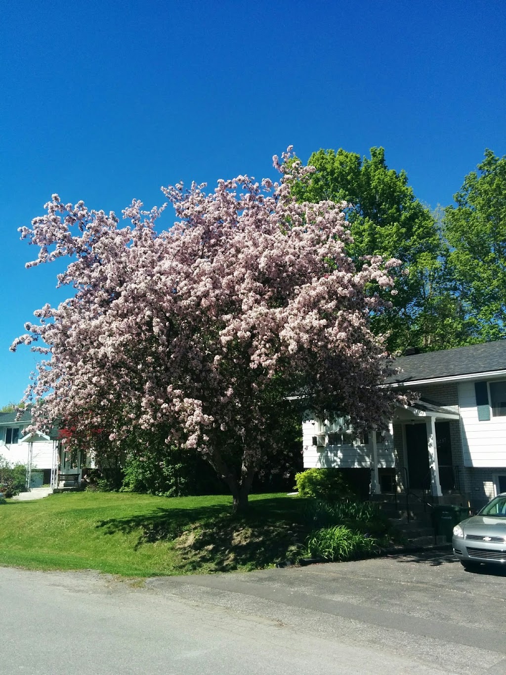 Parc Brook | 12800 Rue Brook, Pierrefonds, QC H8Z 1B8, Canada | Phone: (514) 872-0311