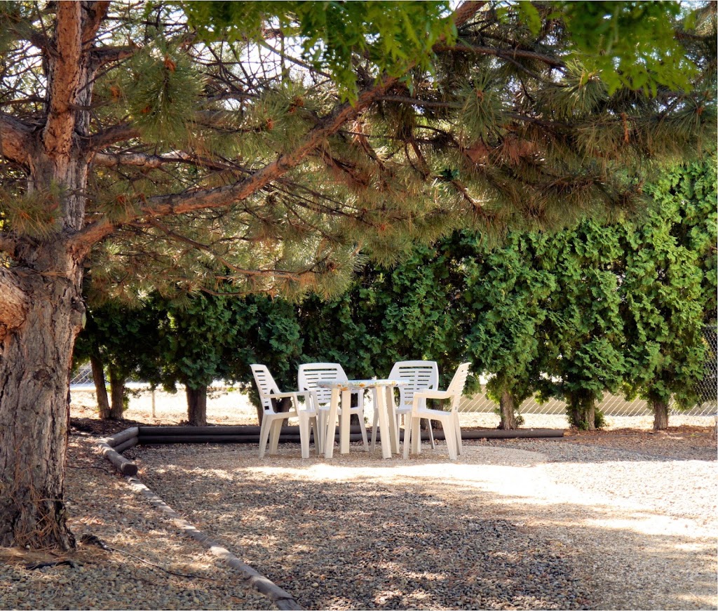 1 Of A Kind Sculpture B&B | 935 Morningstar Rd, Oliver, BC V0H 1T0, Canada | Phone: (888) 498-4451