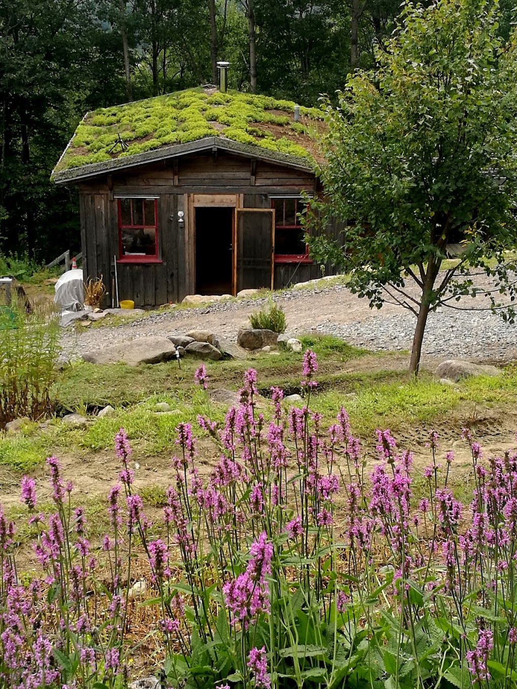 Clef Des Champs | 2205 Chemin de la Rivière, Val-David, QC J0T 2N0, Canada | Phone: (819) 322-1561